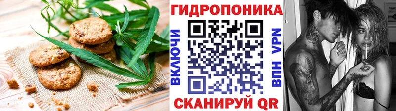 Canna-Cookies конопля  где найти   Сальск 