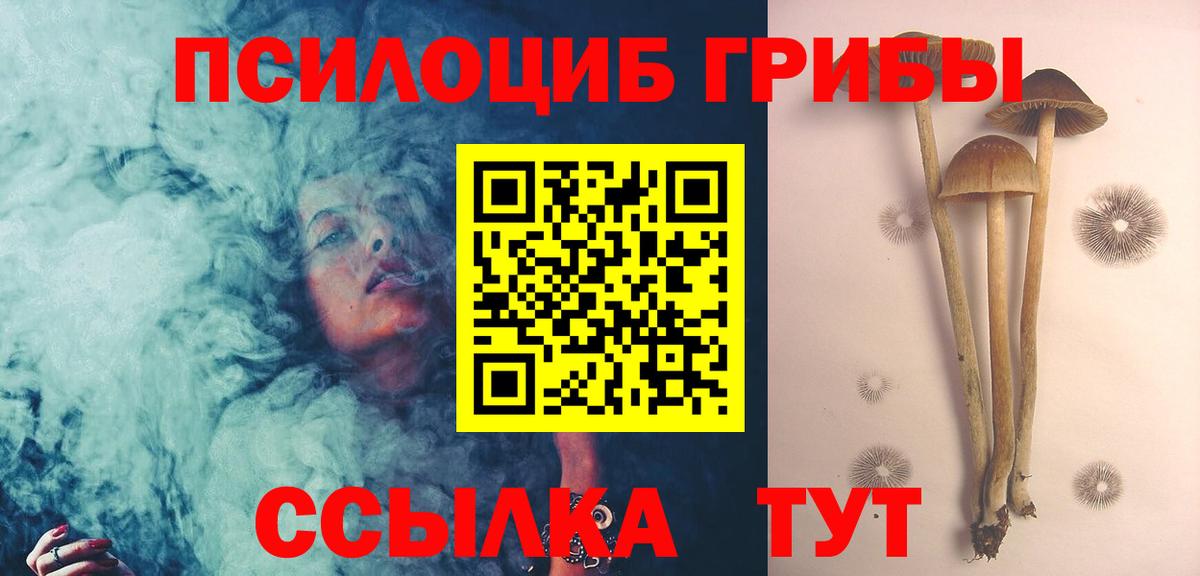 Псилоцибиновые грибы Psilocybine cubensis Сальск