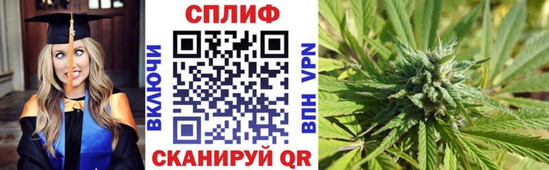 кракен зеркало  купить   Сальск  Марихуана индика 